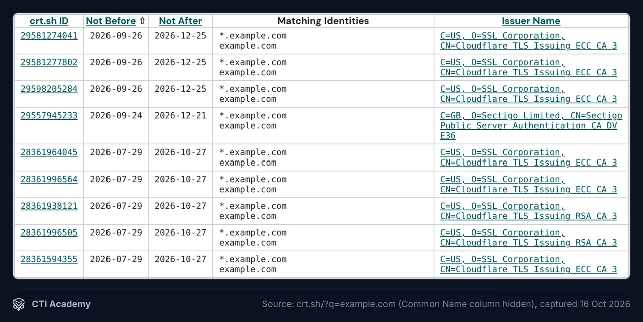 crt.sh search results for example.com showing paired rows, a wildcard name and two certificate issuers