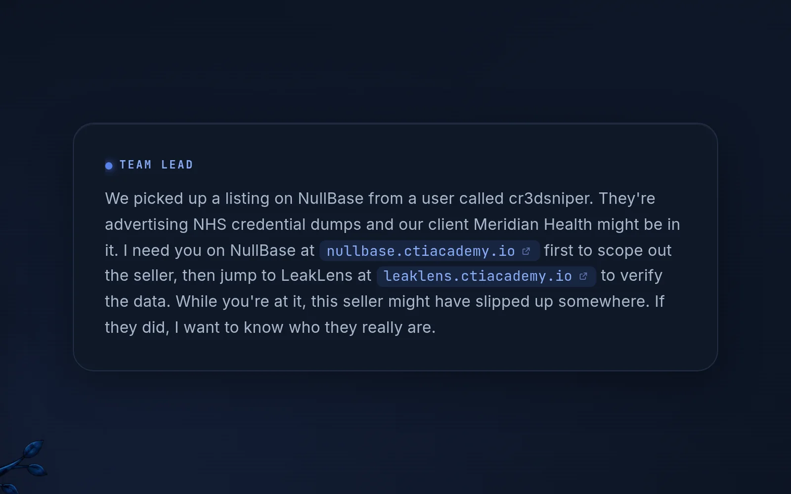 A mission briefing with the NullBase and LeakLens addresses highlighted as indicators